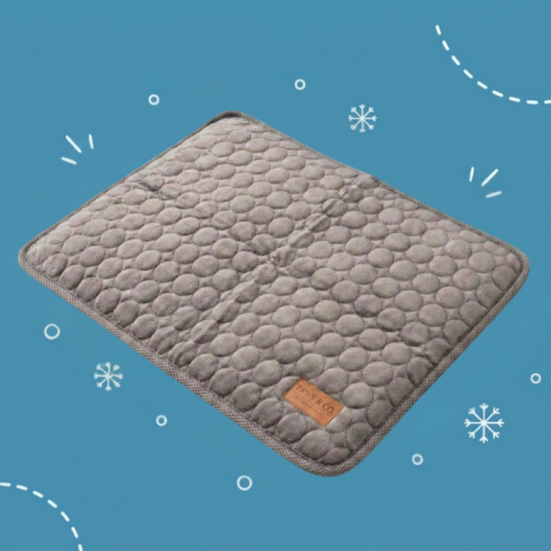 Paws & Co Ice Silk Cooling Mat — Instant Relief, No Gel, No Freezing