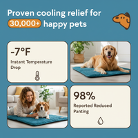 Paws & Co Ice Silk Cooling Mat — Instant Relief, No Gel, No Freezing