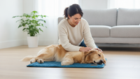 Paws & Co Ice Silk Cooling Mat — Instant Relief, No Gel, No Freezing